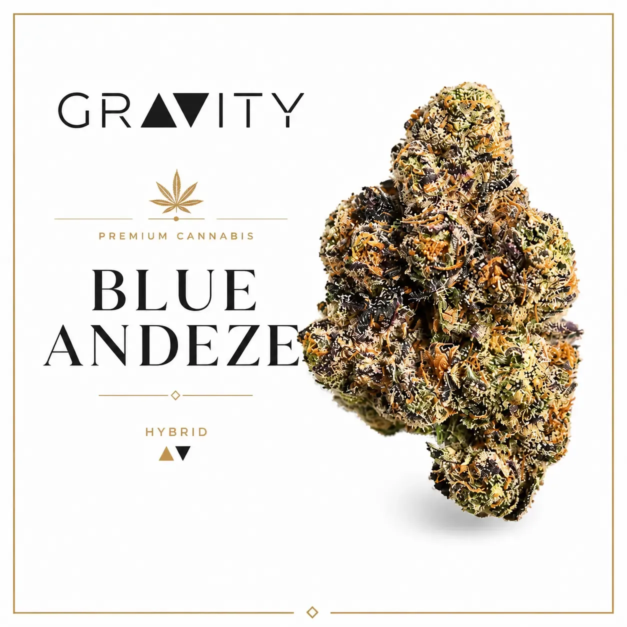 Blue Andeze