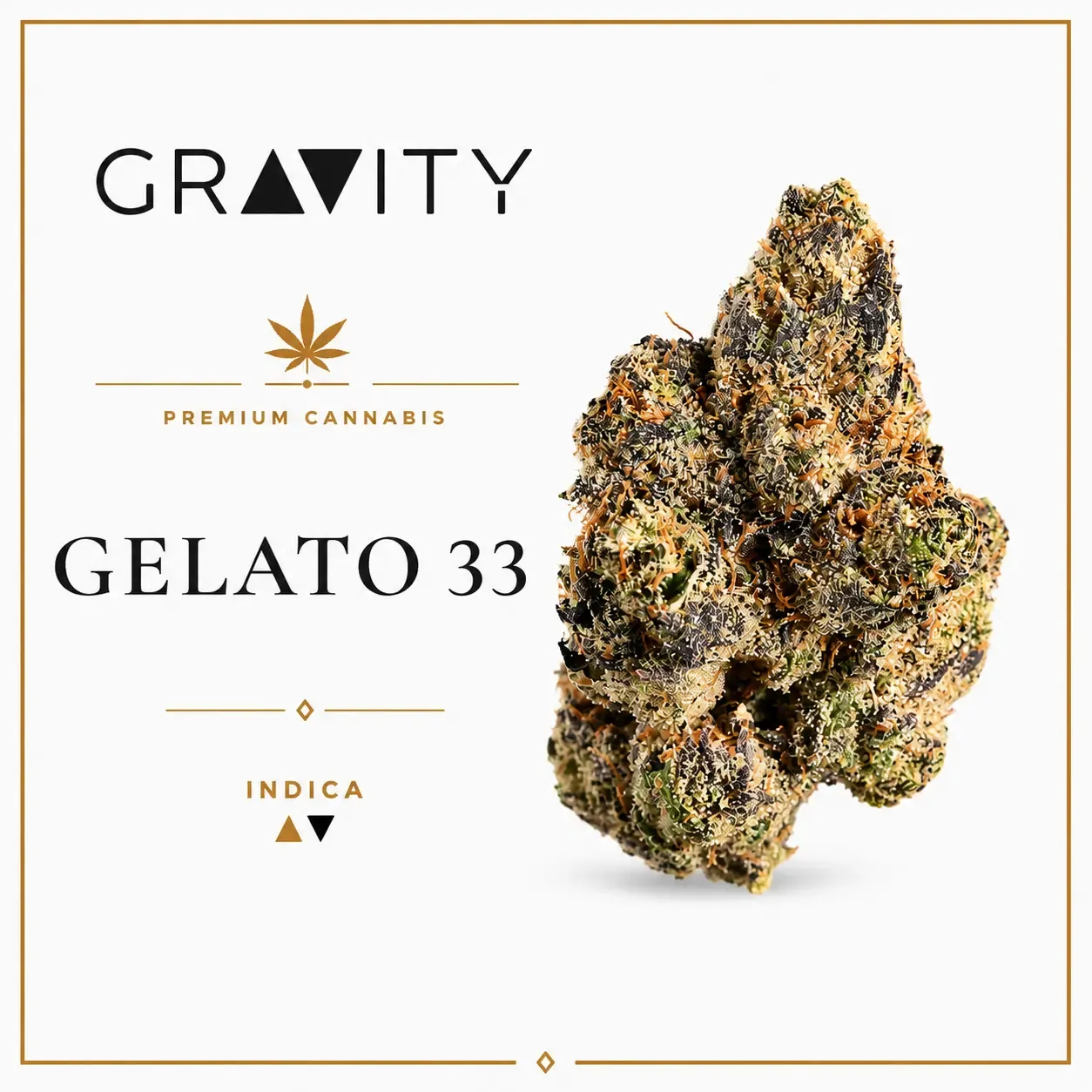 Gelato 33